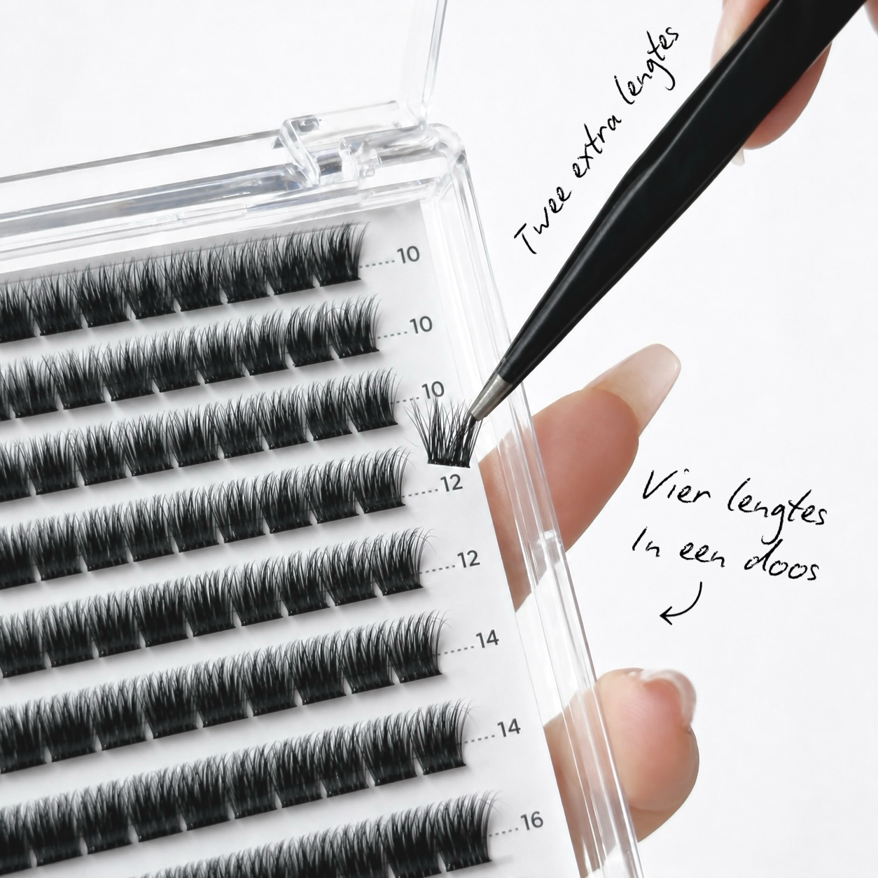 YUMMIE MUMMY             CLUSTER LASHES