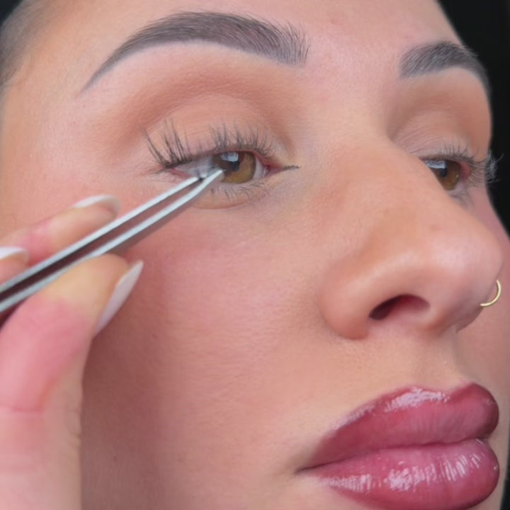 BESTSELLER KIT - CUTE KITTY